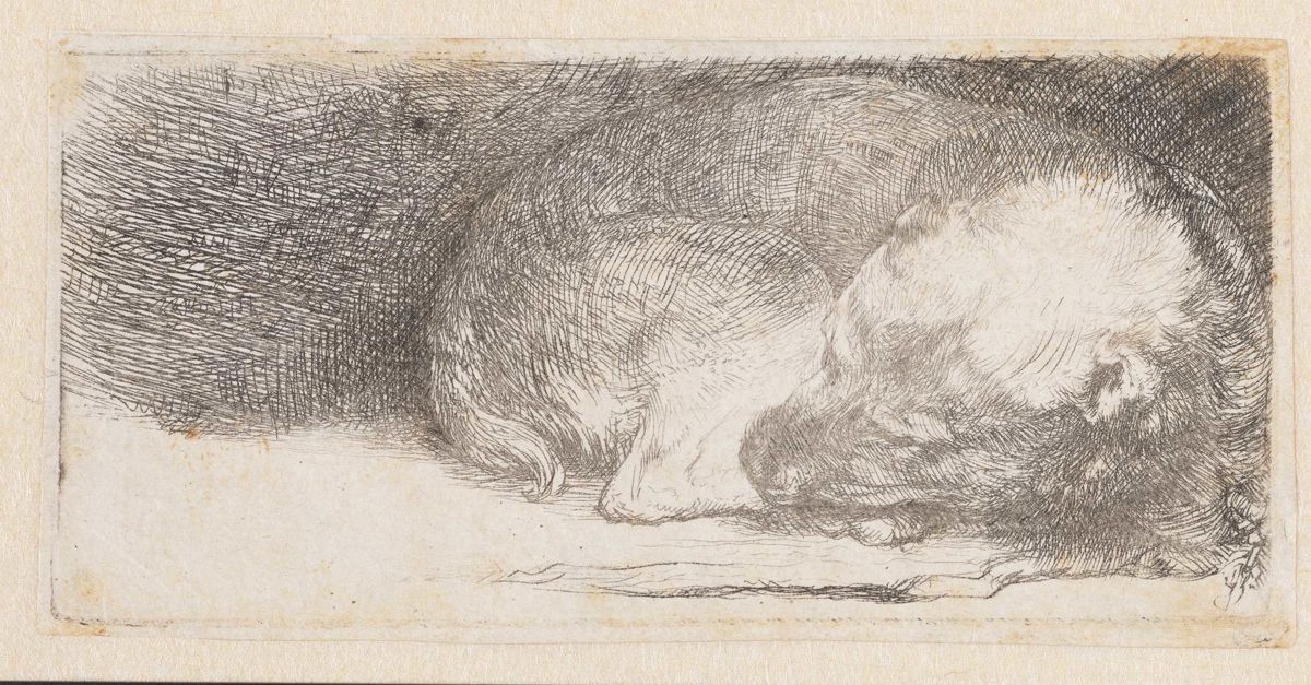 06-rembrandt-sleeping-puppy-c1640.jpg?upscale=false&width=1200&quality=80